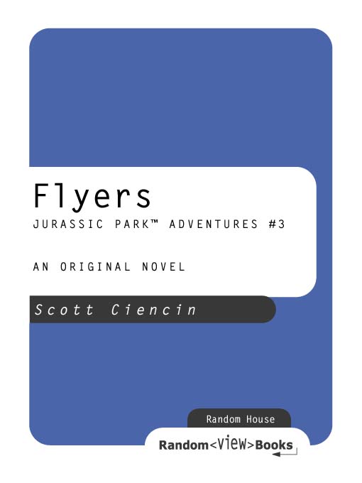 Title details for Flyers by Scott Ciencin - Available